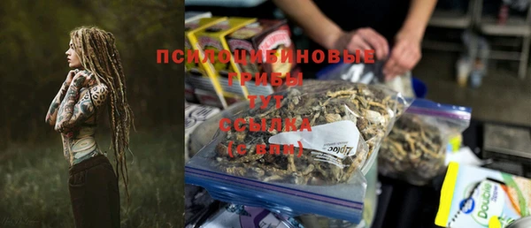 сатива Липки