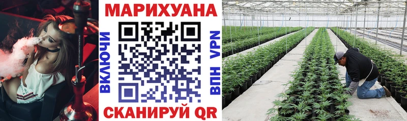 Бошки марихуана семена  магазин продажи наркотиков  Новомичуринск 
